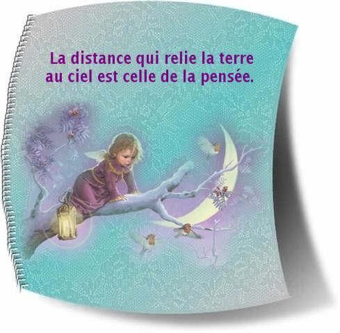 Accueil