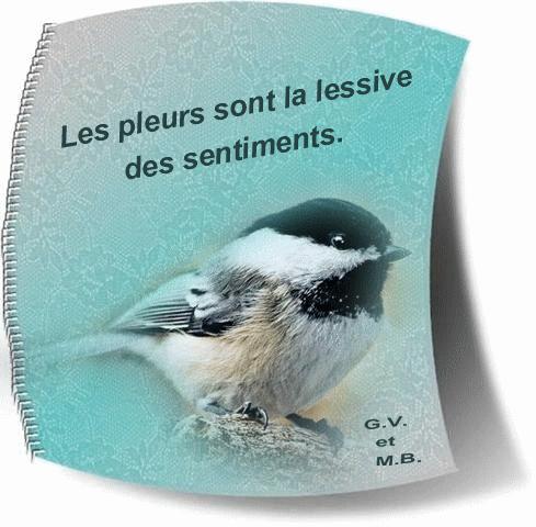 Accueil